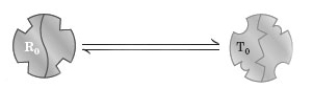 Consider the following image depicting enzyme regulation for a two subunit enzyme.   Which of the following is correct? A)  The R<sub>0</sub> state interacts with the substrate. B)  The R<sub>0</sub> state interacts with the activator. C)  The T<sub>0</sub> state interacts with the inhibitor. D)  All of these are correct. E)  None of these are correct.