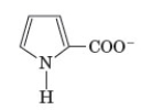 The following represents a transition-state in a certain reaction.   Which of the following would be the best transition-state analog? A)    B)    C)    D)   