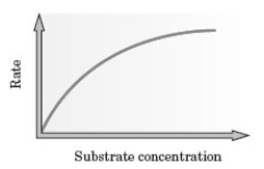 Examine the following graph.   Which of the following explains why the  line  on the graph does not continue in a linear fashion? A)  All of the added substrate is bound to the enzyme. B)  All of the enzyme active sites are occupied. C)  The amount of enzyme present is greater than needed by the substrate. D)  An inhibitor is present.