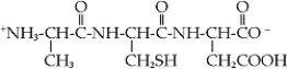 How is the tripeptide shown designated?   A)  Ala-Cys-Asp B)  Ala-Cys-Glu C)  Asp-Cys-Ala D)  Glu-Cys-Ala