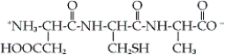 How is the tripeptide designated?   A)  Ala-Cys-Asp B)  Ala-Cys-Glu C)  Asp-Cys-Ala D)  Glu-Cys-Ala