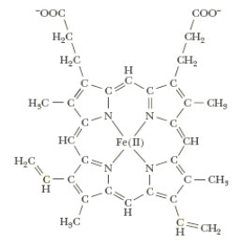 The substance shown below is the Fe-protoporphorin IX found in heme which is involved in oxygen transport in the blood.   Which of the following correctly describes this substance? A)  There are four coordinate covalent bonds in the structure. B)  Fe(II)  has six d electrons. C)  Fe obeys the 18-electron rule. D)  All of the above are correct for this substance.