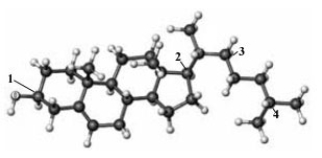 Examine the following structure.   -Examine the following ball-and-stick model. Atoms other than carbon and hydrogen are labeled with the name of the element.   When this compound is converted to progesterone, at which position is a ketone formed? A)  1 B)  2 C)  3 D)  4 E)  In this conversion a ketone is not formed.
