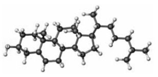 Examine the following structure.   -Examine the following ball-and-stick model. Atoms other than carbon and hydrogen are labeled with the name of the element.   Which of the following correctly characterizes this substance? A)  complex lipid B)  synthesis is increased by high serum concentrations C)  soluble in water D)  present in cell membranes E)  None of these correctly characterizes this substance.