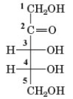 Examine the following structure.   What is the number assigned to the penultimate carbon in this structure? A)  1 B)  2 C)  3 D)  4 E)  5