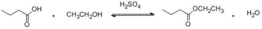 Which of the intermediates shown below is generated during the following reaction?   A)    B)    C)    D)   
