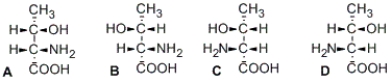 <strong>Illustrated here are the four stereoisomers of an amino acid which has two stereocenters. Which structure(s) is/are diastereomer(s) of structure A? </strong> A) B only B) C only C) D only D) B and D only