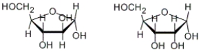 How are the following two carbohydrates related to each other?   A)  enantiomers B)  diastereomers C)  constitutional isomers D)  They are not related to each other.