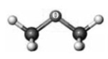 Examine the structures represented by the following models. Atoms other than carbon and hydrogen are indicated by the element symbol.       A B C -Which exhibits London dispersion forces? A)  A B)  B C)  C D)  all of these