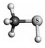 Examine the structures represented by the following models. Atoms other than carbon and hydrogen are indicated by the element symbol.       A B C -Which exhibits London dispersion forces? A)  A B)  B C)  C D)  all of these