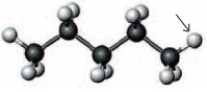 Consider the following ball and stick model.   If the hydrogen atom indicated by the arrow was removed and a -CH<sub>2</sub>CH<sub>2</sub>CH<sub>2</sub>CH<sub>3</sub> group was attached, what would the name of the resulting compound? A)  butylpentane B)  nonane C)  octane D)  None of these are a correct name for the resulting compound.