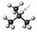 Consider the following ball and stick model.   If the hydrogen atom indicated by the arrow was removed, what is the name given to this alkyl group? A)  isopropyl B)  butyl C)  sec-butyl D)  tert-butyl