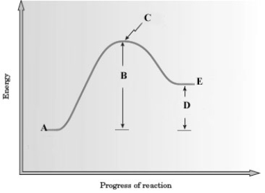 Consider the following energy diagram for a reaction.   -In the reaction of HCl with water: HCl(g)  + H<sub>2</sub>O(l)    H <sub>3</sub>O<sup>+</sup>(aq)  + Cl<sup>-</sup> (aq)  The following species forms.   Which letter represents this species? A)  A B)  B C)  C D)  D E)  E