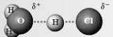 Consider the following energy diagram for a reaction.   -In the reaction of HCl with water: HCl(g)  + H<sub>2</sub>O(l)    H <sub>3</sub>O<sup>+</sup>(aq)  + Cl<sup>-</sup> (aq)  The following species forms.   Which letter represents this species? A)  A B)  B C)  C D)  D E)  E