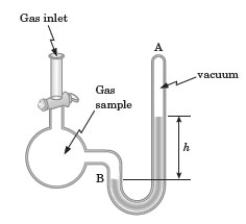 <strong>Consider the following diagram. The liquid in the apparatus is mercury. If the pressure of the gas sample on arm B is 1.0 atm, what will be the difference in the heights of the mercury column in arms A and B? This difference is represented in the diagram by the variable h?</strong> A) 1.0 mm Hg B) 760 mm Hg C) 760 atm D) It will be equal to the current atmospheric pressure.