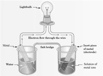 Consider the following representation of a voltaic cell.   This voltaic cell is represented by the following reaction: Mg(s)  + Cu<sup>2+</sup>(aq)  → Cu(s)  + Mg<sup>2+</sup>(aq)  -What is the identity of the  Metal  shown in the diagram? A)  Mg B)  Cu C)  Mg<sup>2+</sup> D)  Cu<sup>2+</sup>