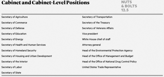 There are currently ________ cabinet-level executive departments in the federal government. A) 10 B) 15 C) 25 D) 31
