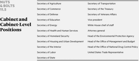   There are currently ________ cabinet-level executive departments in the federal government. A) 10 B) 15 C) 25 D) 31