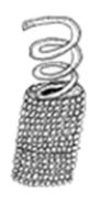 <strong>Viruses that infect bacteria are known as complex viruses. Which of the following diagrams represents a complex virus?</strong> A) B) C) D)