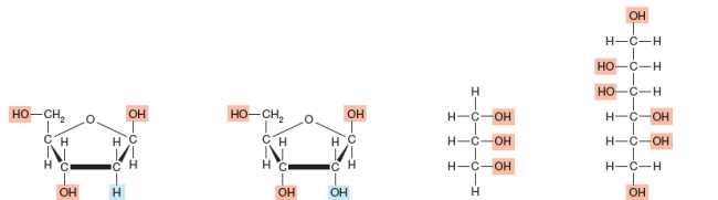 Which of the following is a three carbon sugar alcohol?   A) a B) b C) c D) d