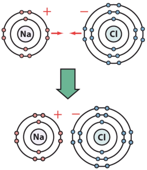 How many electrons are in the second shell of the chlorine atom?   A) two B) four C) eight D) ten
