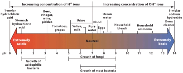 Which of the following has the fewest hydrogen ions?   A) Stomach hydrochloric acid B) Urine C) Ocean water D) Household ammonia