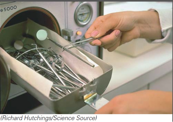 How could the performance of this equipment be checked?   A) Using a culture of endospores from Bacillus stearothermophilus B) Using a culture of endospores from Escherichia coli C) Using a culture of endospores from Staphylococcus aureus D) It does not need to be checked