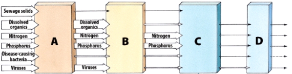 During which step is an aeration tank used?   A) A B) B C) C D) D