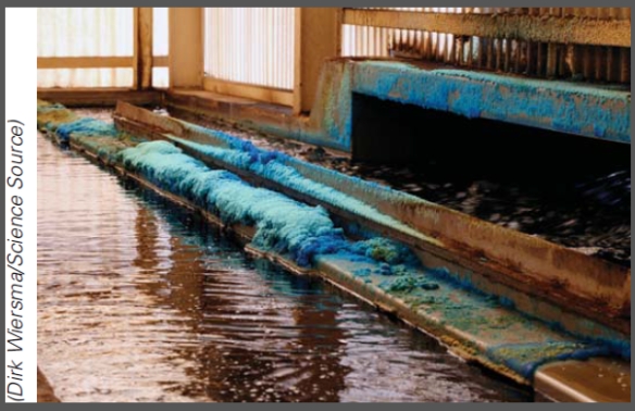Identify the microbe that has been importance in catalyzing the oxidation of copper sulfate in this image.   A) Thiobacillus ferrooxidans B) Leptospirillium ferrooxidans C) Thiobacillus organoparus D) Methylophilus