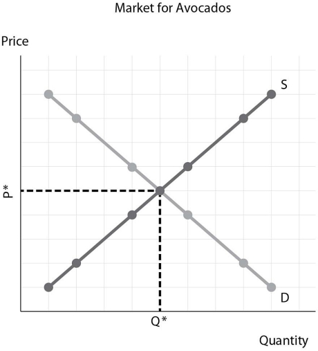   Your firm produces ready- made guacamole and avocados are the primary ingredient. During a news report, weather forecasters just announced that there will be a freeze in the region in which your firm buys avocados. This freeze will likely damage many of the avocados that are almost ready for harvest. -Refer to the figure above. As a result of the freeze, the price for avocados will be________ than the current equilibrium price and the equilibrium quantity of avocados will be________than the current equilibrium quantity. A) less; greater B) greater; less C) less; less D) greater; greater