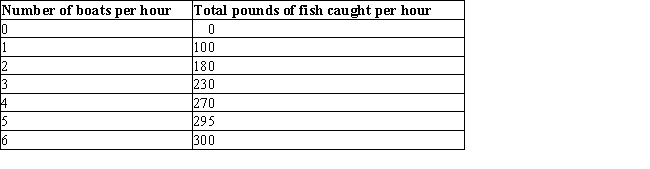 Overfishing along the coastline of Helsking village led the government to impose a fee on the boats used for fishing. The fishermen were charged $50 on each boat they sent out for fishing. The following table shows the total pounds of fish caught per hour and the number of boats used for fishing.Table 13.2    -If the government is successful in internalizing the external costs of production in a market, then: A) social costs will equal private costs. B) an inefficient level of output will be produced. C) social costs will exceed private costs. D) social costs will be less than private costs. E) social costs will fall to zero.