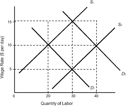 Figure 3.2    -In Figure 3.2, assume that we have labor market demand and supply curves of D<sub>1</sub> and S<sub>2</sub>, respectively. What is the equilibrium wage and employment level? A)  $5; 30 workers B)  $10; 20 workers C)  $10; 40 workers D)  $15; 30 workers E)  $5; 20 workers