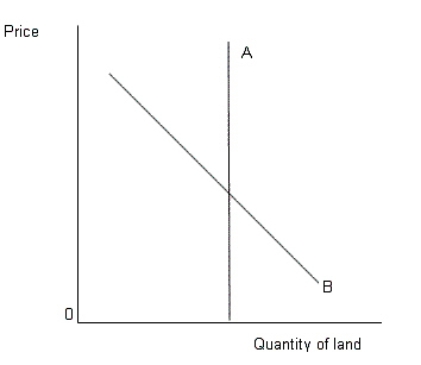 The figure given below represents an imperfectly competitive resource market.Here common land (and not land used for specific purpose)  is under consideration. Figure 17.1   - In Figure 17.1,the curve A indicates: A) demand curve for land. B) supply curve of land. C) marginal factor cost of land. D) marginal revenue product curve for land. E) value of marginal product curve of land.