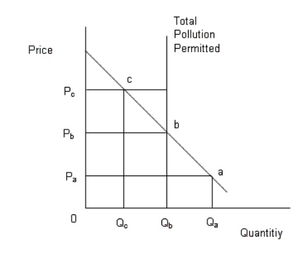 The figure given below shows the demand for permits and the maximum permissible level of pollution. Figure 13.4   In the figure, The downward sloping line is the demand curve of permits; The vertical line denotes the maximum permissible limit of pollution. -Refer to Figure 13.4.Suppose the government wishes to reduce pollution to a quantity of Q<sub>b.</sub>If it sells marketable pollution permits at a quantity of Q<sub>b </sub>then: A) firms will bid the price of the permits up to a price of P<sub>a</sub>,and Q<sub>a</sub> pollution will result. B) firms will bid the price of the permits up to a price of P<sub>b</sub>,and Q<sub>b </sub>pollution will result. C) firms will bid the price of the permits up to a price of P<sub>c</sub>,and Q<sub>c</sub> pollution will result. D) firms will bid the price of the permits up to a price of P<sub>c</sub>,and Q<sub>b </sub>pollution will result. E) firms will not be willing to pay a price for the permits,so no pollution will be reduced.