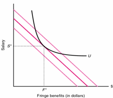The problem is that the overall level of compensation (salary and fringe benefits) is high enough to attract recent college graduates, but the compensation package is not great enough in order to retain more experienced workers. This firm has to offer a more competitive package of monetary compensation and fringe benefits in order to keep their employees. Young college graduates may have different preferences for fringe benefits than slight more experienced employees who are starting families. This firm's human resources compensation packages are quite competitive for entry level workers, but do not provide more experienced enough fringe benefits in order to keep them around. This firm should discover what benefits employees want in order to remain on the job. On the graph below, any compensation offer of salary-only on the vertical axis is not meeting the displayed reservation level of utility for the experienced worker. An offer of (F*,S*) would be the cost-minimizing way to keep these valuable employees.
