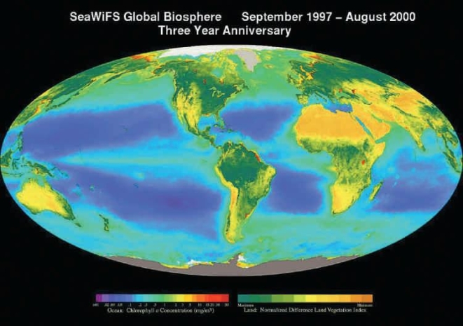   Examine the map above (Figure 46.9) ,which shows indices of aquatic and terrestrial primary productivity based on concentrations of chlorophyll a. Based on this index,primary productivity of aquatic systems: A) is equal at all latitudes. B) generally increases from the poles to the equator. C) is greatest in the open ocean. D) is usually high in warm,tropical seas. E) tends to be high near polar regions. 