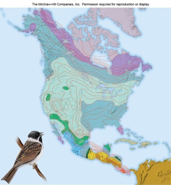   Examine the figure above.In the continental U.S. ,the dark green patches show areas with the highest bird species richness.Why would these areas be so species-rich? A) Because these areas have the highest temperatures in the continental U.S. B) Because these areas have mountainous terrain,which creates many habitat types. C) Because in these areas,mountain tops act like islands,accelerating speciation. D) Because these areas have low frequencies of extreme weather events and fire. 