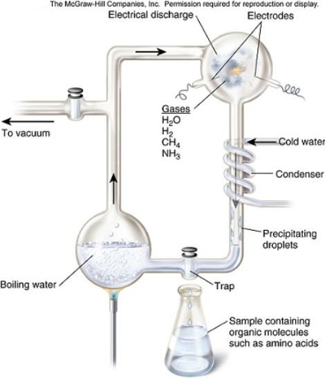 The Miller and Urey apparatus produced hydrogen cyanide (HCN) ,formaldehyde (CH<sub>2</sub>O) ,and glycine (an amino acid) in their first experiment.Why was it important that they use water vapor,methane,carbon monoxide,ammonia and hydrogen as their reactants and an electrical spark as their energy source?   A) They knew these reactants were available in their lab and in today's atmosphere. B) These reactants were found in today's atmosphere therefore they should be used to try to replicate the early Earth atmosphere. C) Each of the reactants were readily changed into proteins and DNA. D) These reactants were useful because their products were able to be predicted before the experiment began,it is always good to know the outcome of an experiment to achieve success with the experiment. E) These reactants were hypothesized to have made up the early Earth atmosphere,the electricity was used to emulate lightening strikes. 