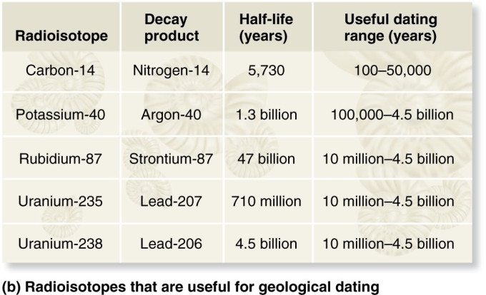 <strong>You uncovered a fossil that you suspect is around 100 million years old.Which of the radioisotope pairs in the table below could you eliminate as an appropriate choice for radioisotope dating the accompanying rock? </strong> A)Potassium-40/Argon-40 (half-life = 1.3 billion years;useful dating range =100,000-4.5 billion years) B)Rubidium-87/Strontium-87 (half-life = 47 billion years;useful dating range = 10 million- 4)5 billion years) C)Uranium-235/Lead-207 (half-life = 710 million years;useful dating range = 10 million-4.5 billion years) D)Carbon-14/Nitrogen-14 (half-life = 5,730 years;useful dating range = 100-50,000 years) E)Uranium-238/Lead-206 (half-life 4.5 billion years;useful dating range = 10 million-4.5 billion years)