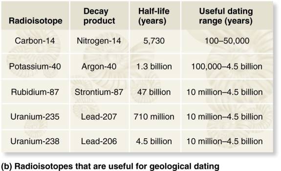 <strong> A scientist found an unweathered igneous rock that contained 0.025 g of potassium-40 and 0.075 g of argon-40.Using the table above,how old would you estimate the rock to be?</strong> A)2.6 billion years old. B)0.050 billion years old. C)1.3 billion years old. D)0.001875 billion years olD. E)1.69 billion years old.