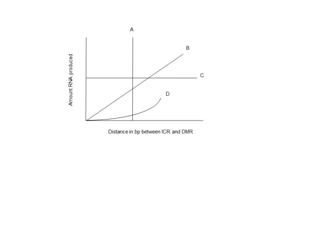 It is possible that the effects of the association of the ICR and DMR regions with the CTC factors could be distance dependent. An experimental outline could be devised where the effects of the distances of these regions could be varied and the rates of transcription could be measured. Below is a graph of some possible results. Which letter represents the most likely outcome if an increase in distance between these two regions results in a diminished effect on transcription rates?   A)  A B)  B C)  C D)  D