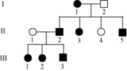 Filled in circles and square show affected individuals. Select the mode of inheritance for individual III-3   A)  Incomplete dominance B)  Codominance C)  Pseudoautosomal inheritance D)  X-linked inheritance