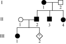 The pedigree below shows the inheritance pattern of a rare allele for one family. The filled in circles and square show affected individuals. What is the probability of individual III-2 being born male and affected?   A)  1/2 B)  1/3 C)  1/4 D)  0
