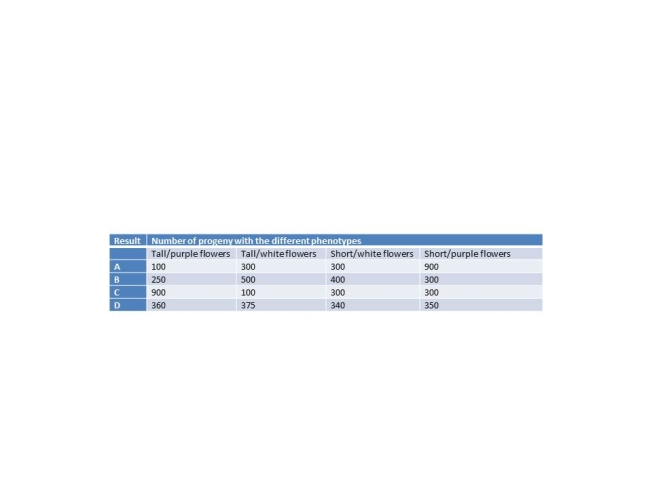 Select which of the following results would most closely conform to a test cross of a dyhybrid plant   A) A B) B C) C D) D