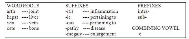 MATCHING   Using the word parts in the above box, determine the correct medical terms for the definition and write the appropriate answer on the line provided. 