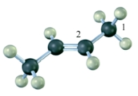 The hybridization on the numbered carbon atoms in the following compound would be Carbon 1 sp<sup>3</sup> and Carbon 2 sp<sup>2</sup>.  