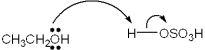 Which of the following terms describes the role of ethanol in the acid-base reaction shown?   A) Brønsted-Lowry acid B) Brønsted-Lowry base C) Lewis acid D) Lewis base
