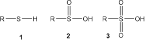What is the correct assignment of the names of the following functional groups?   A) 1 = thiol; 2 = sulfone; 3 = sulfoxide B) 1 = thiol; 2 = sulfoxide; 3 = sulfone C) 1 = thiol; 2 = sulfinic acid; 3 = sulfonic acid D) 1 = sulfonic acid; 2 = sulfone; 3 = sulfinic acid