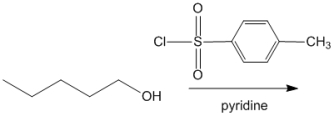 What is the major organic product obtained from the following reaction?  