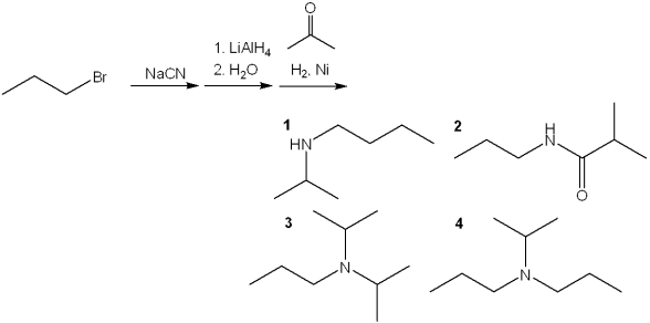 What is the major organic product obtained from the following sequence of reactions?   A) 1 B) 2 C) 3 D) 4